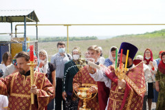 DSC06371